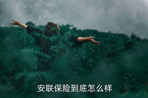 安聯的理賠怎么樣,本地保險公司理賠快速度之所以快速獲利