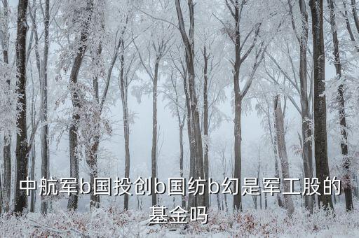 國創投b是什么基金，請教創業b是私募基金嗎屬于清盤對象嗎