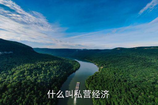 什么是民營經(jīng)濟(jì)，私營經(jīng)濟(jì)指的是什么