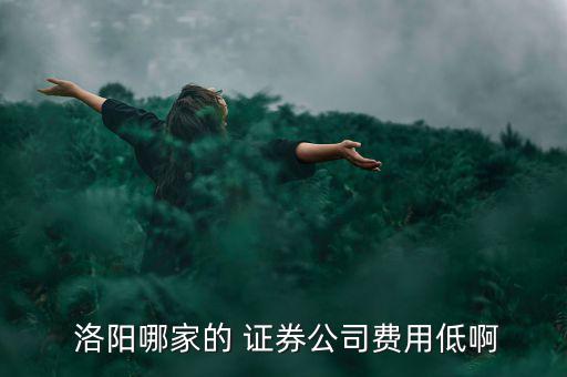 洛陽(yáng)東海證券怎么樣,洛陽(yáng)開(kāi)戶(hù)證券公司在哪里開(kāi)戶(hù)?