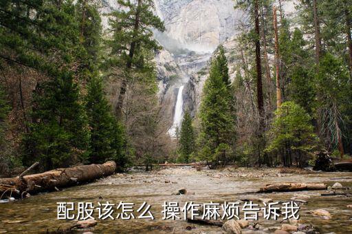 滬市股票配股怎么操作,深圳配股交易系統設置買入方式