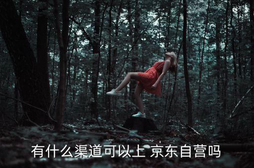 產品怎么上京東,在京東mall買東西有何不同?