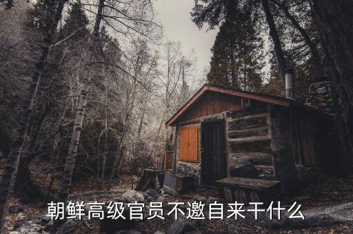 朝鮮領導人為什么不出訪，朝鮮高級官員不邀自來干什么