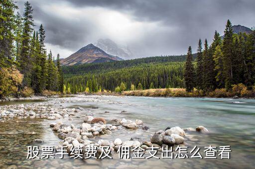  股票手續費及 傭金支出怎么查看