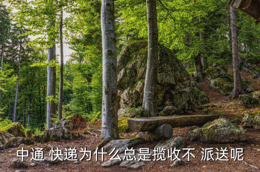 快遞運輸怎么還不派送,快遞又稱順遞或實快遞