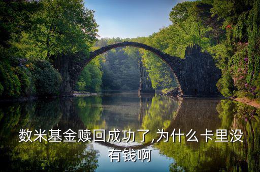 數米現金寶怎么操作,手機現金寶可查詢基金盈虧設置基金定投