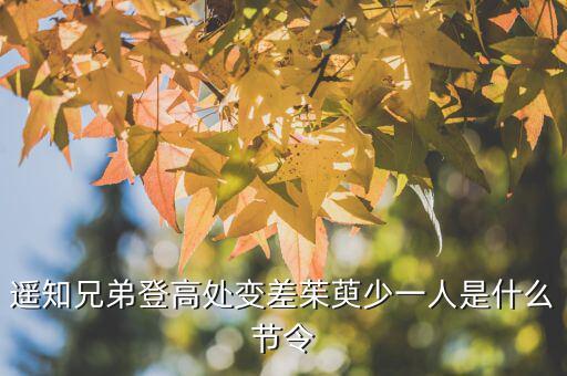 遙知兄弟登高處變差茱萸少一人是什么節令