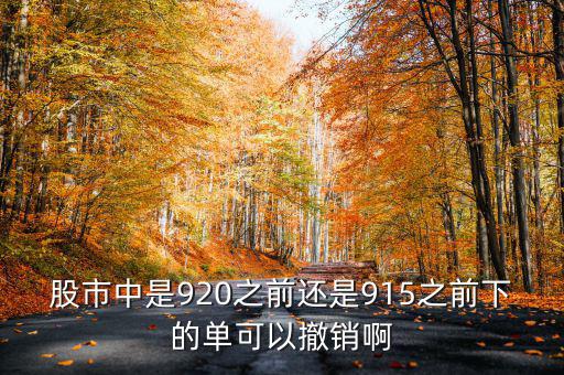 股市中是920之前還是915之前下的單可以撤銷(xiāo)啊