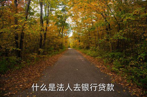 什么是法人銀行，中國農業銀行是什么法人