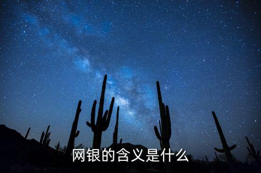 網銀的含義是什么