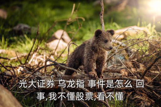 光大烏龍事件怎么回事,烏龍指數繼續上漲證券停牌