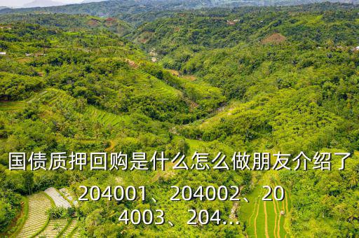 國債質押回購是什么怎么做朋友介紹了 204001、204002、204003、204...
