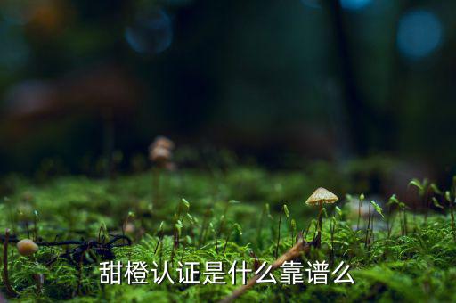 甜橙金融公司是什么，便捷的網貸理財企業是什么