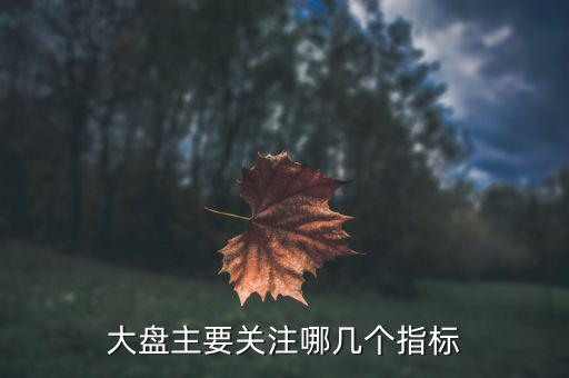 股市大盤關注什么指數，大家看大盤走勢都是看的哪個指數