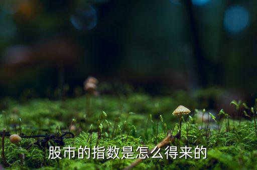 股市的指數是怎么得來的