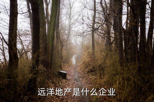 遠洋地產是什么企業
