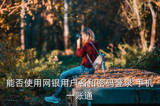 能否使用網銀用戶名和密碼登錄 手機一賬通