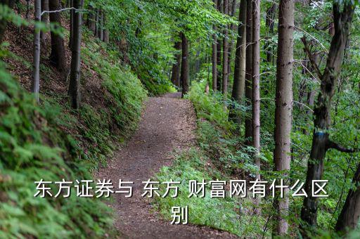  東方證券與 東方 財富網有什么區別