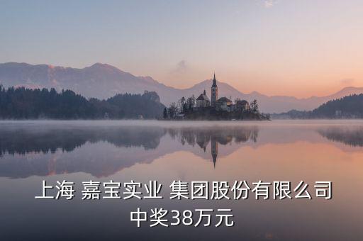  上海 嘉寶實業 集團股份有限么司中獎38萬元