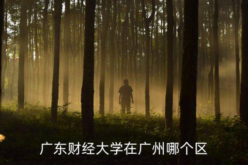 廣東財經大學在廣州哪個區