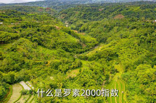 平安羅素是什么，平安epass是什么東西
