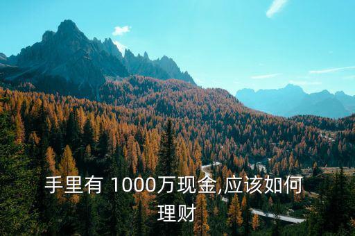 手里有 1000萬現金,應該如何 理財