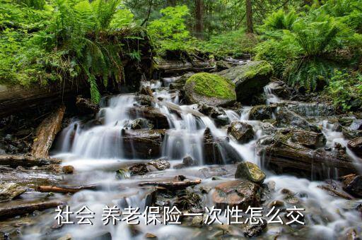 商業養老一次交清怎么交,先完善社會養老保險再選擇養老險