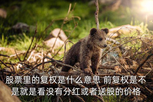 復權是什么意思，請教前復權和后復權是什么意思有什么不一樣