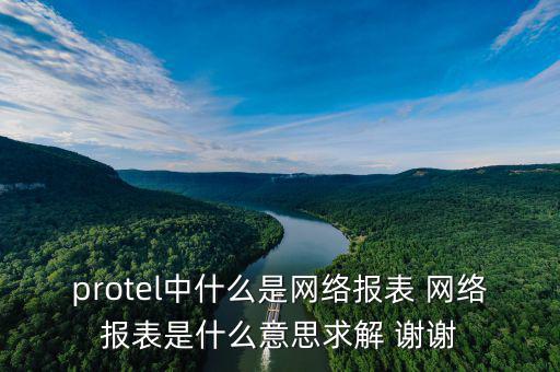 protel中什么是網絡報表 網絡報表是什么意思求解 謝謝
