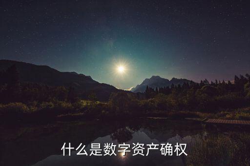 什么是數字資產確權