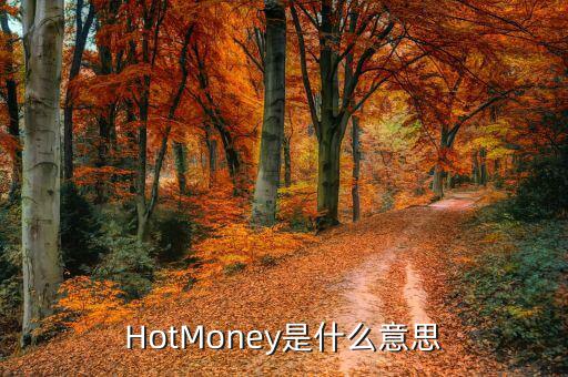 熱錢怎么撤出中國,外匯占款4年來首次出現負增長