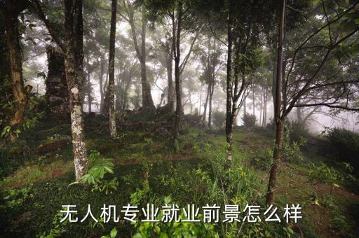  無人機專業就業前景怎么樣