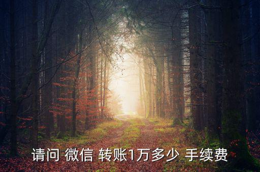 微信轉賬手續費怎么算,2月起微信轉賬收費項目同時取消