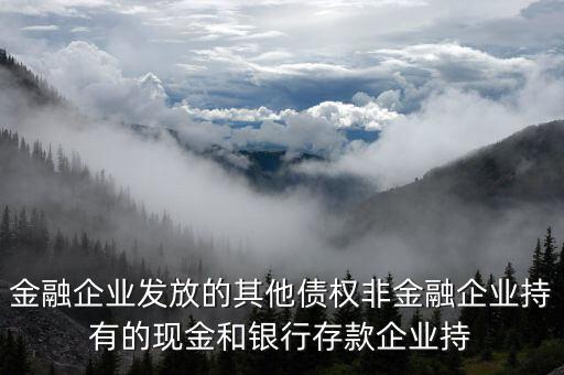 金融企業發放的其他債權非金融企業持有的現金和銀行存款企業持