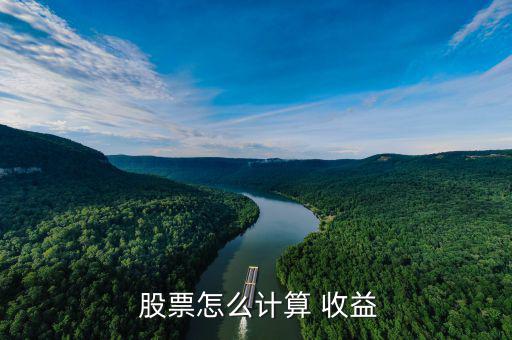 股票投資怎么看年收益,e.凈資產收益率是投資效應系數的簡稱