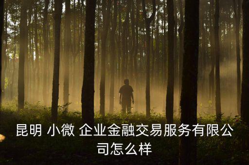 小微企業信保易怎么樣,中小企業融資服務公司