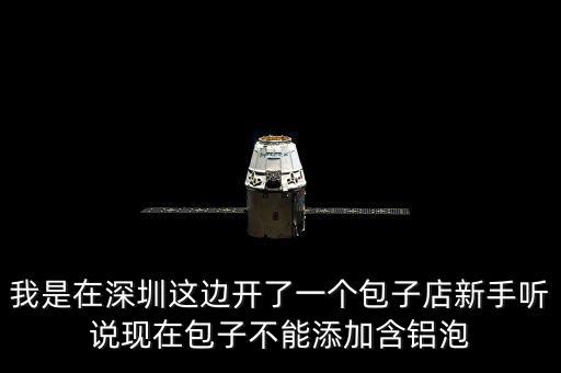 包子禁止添加什么，我是在深圳這邊開了一個包子店新手聽說現在包子不能添加含鋁泡