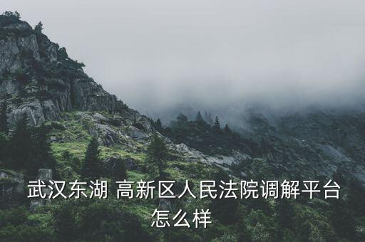 武漢高新區怎么樣,武漢將設立七個中心城區包括東湖高新開發區