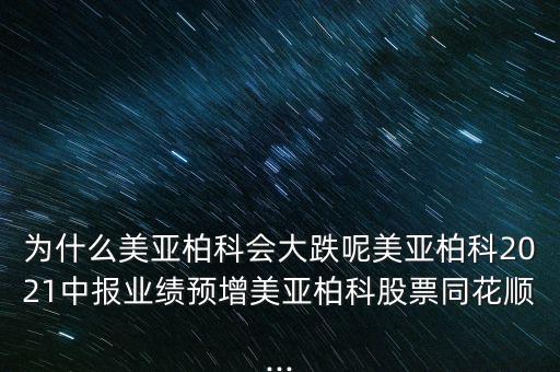 美亞桕科怎么停盤了呢,網絡安全優質企業美亞貝克正式成立