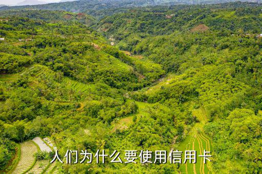人們為什么要使用信用卡