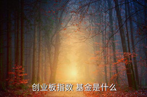 怎么看基金是不是創業板,這些股票是否屬于創業板