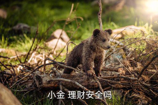 小金理財怎么樣,理財通信安全穩定無風險