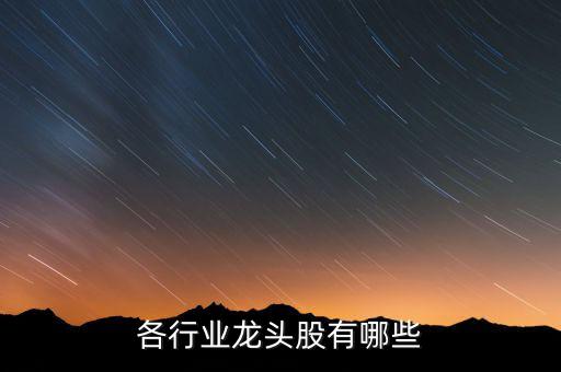 上海金禾實業發展有限公司怎么樣,交易所上市公司列表