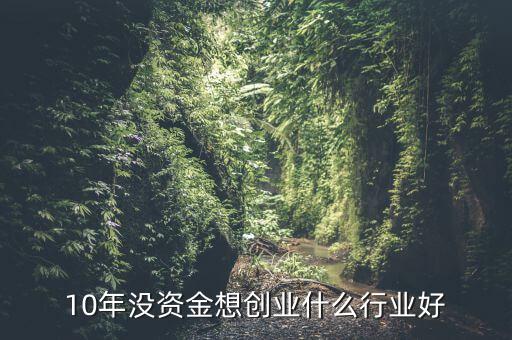 10年沒資金想創業什么行業好