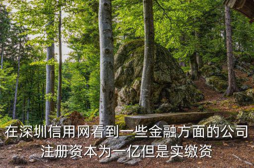 在深圳信用網看到一些金融方面的公司注冊資本為一億但是實繳資