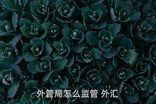 外管局怎么監管 外匯
