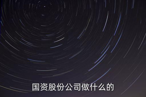 國資公司是做什么的，國資股份公司做什么的