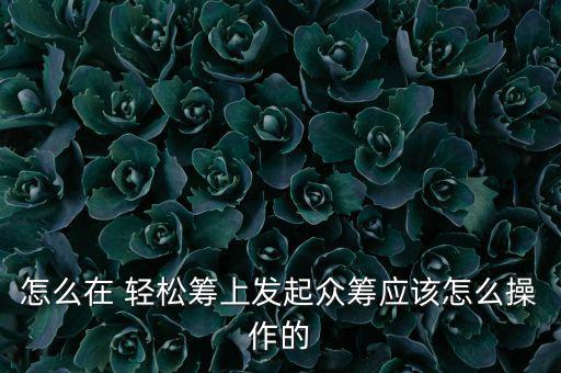 輕松籌資金用途怎么寫,如何在輕松chip發起發起募捐?