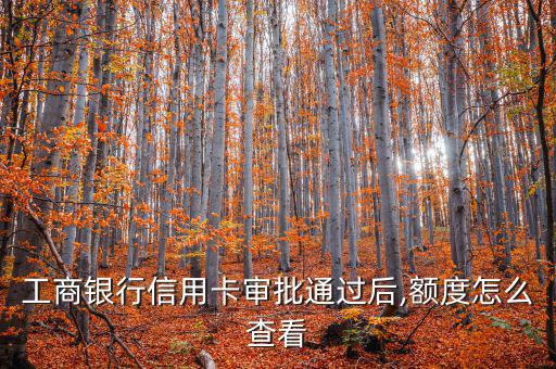 工行授信怎么查,您簽訂易貸協議后可通過各渠道查詢貸款額度