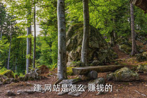 wifi網站怎么賺錢,如何在新加坡網上賺錢?